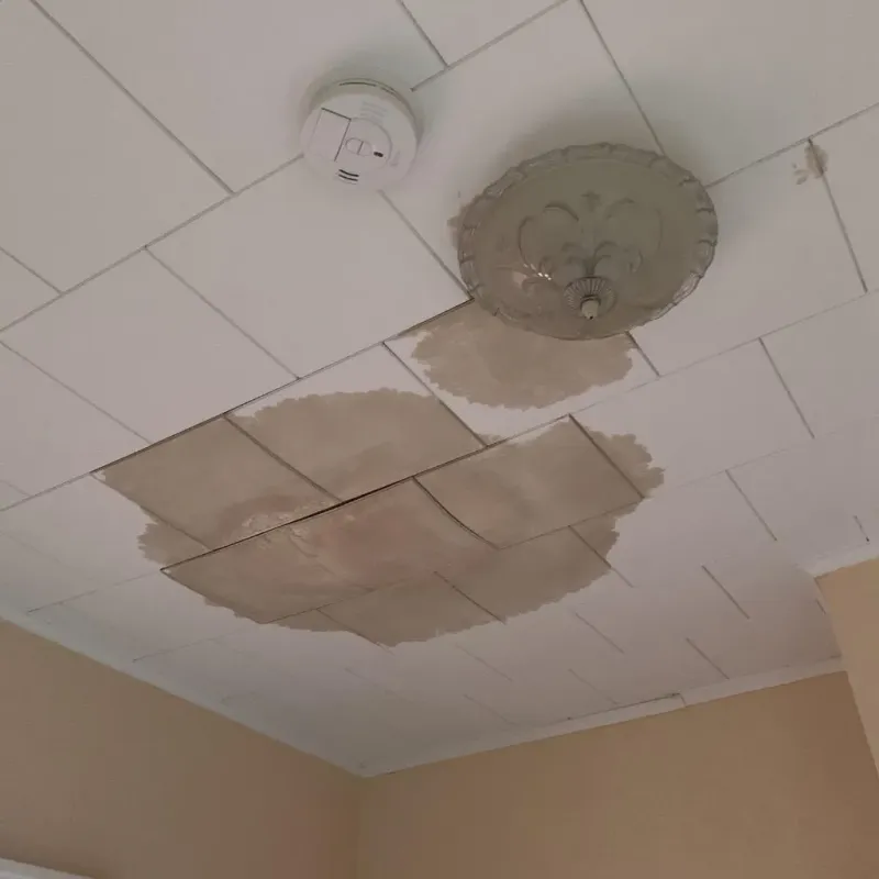 Ceiling Water Damage Repair in Batavia, OH