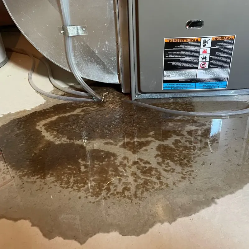 Pipe Burst and Leak Restoration in Batavia, OH